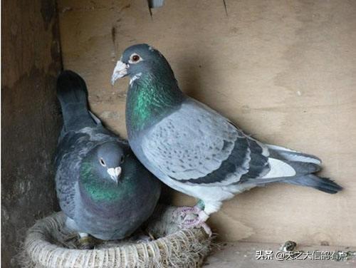 最新疾病资讯深度解析与观点阐述