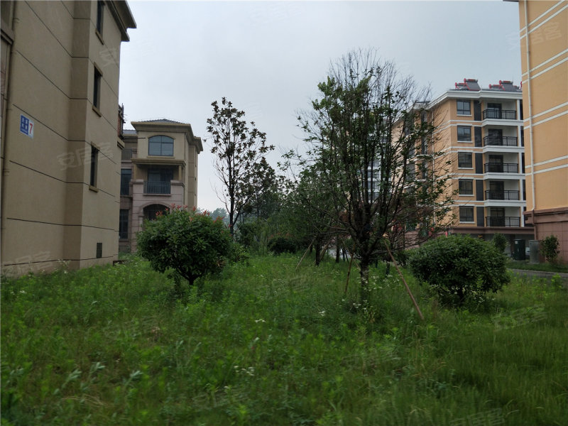 兴化上水华庭最新房价,科技前沿的居住体验