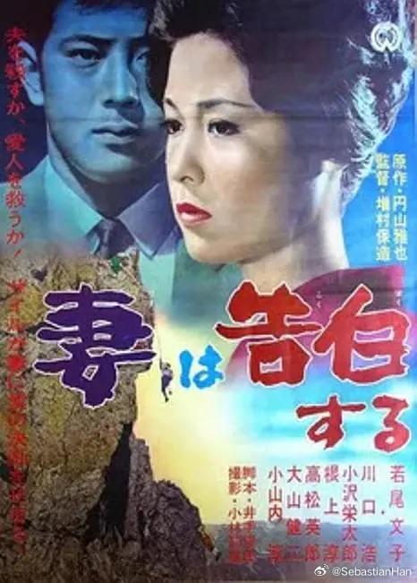 日本电影借妻，友情的温暖与爱的陪伴之旅