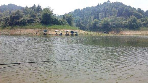 钓鱼中药秘方探索,一场寻求内心宁静的钓鱼之旅