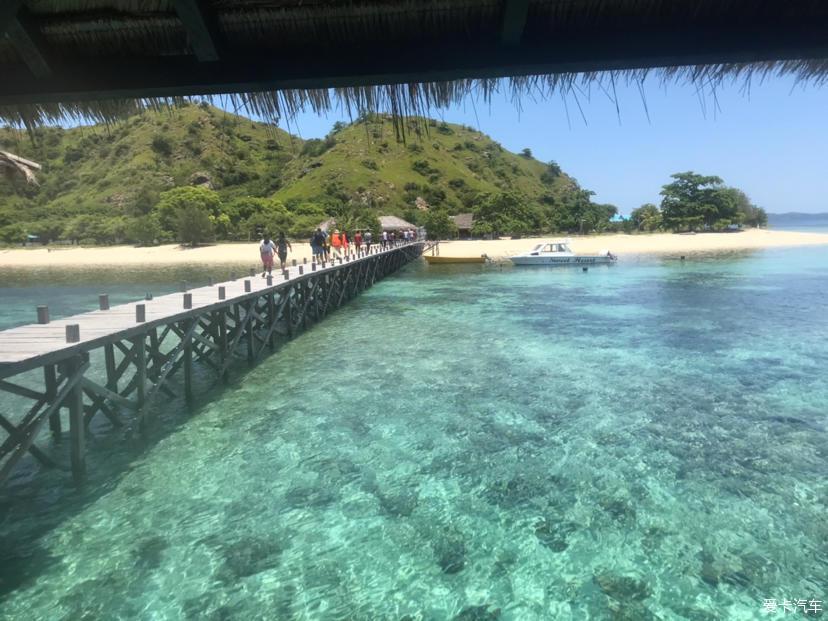 奇幻小岛最新攻略,神秘任务详解与学习技能指南