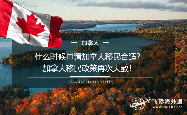 加拿大最新移民政策解读,科技重塑移民未来之路