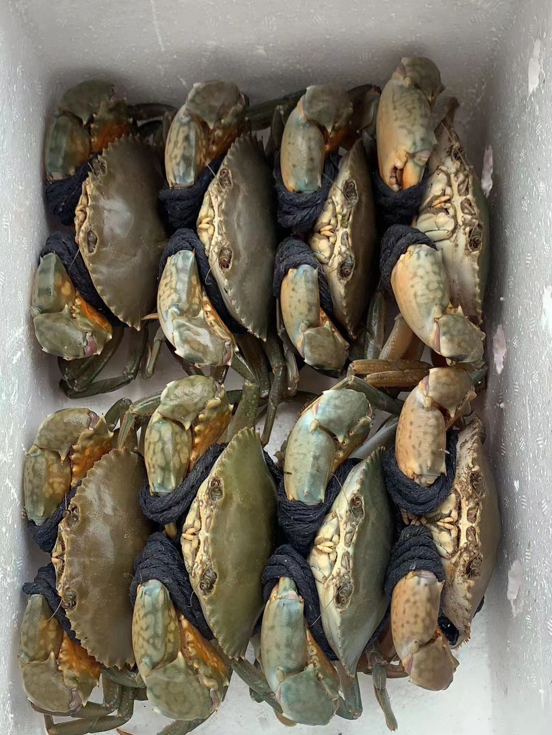 青蟹新鲜上市,美味与健康双享的海洋盛宴!