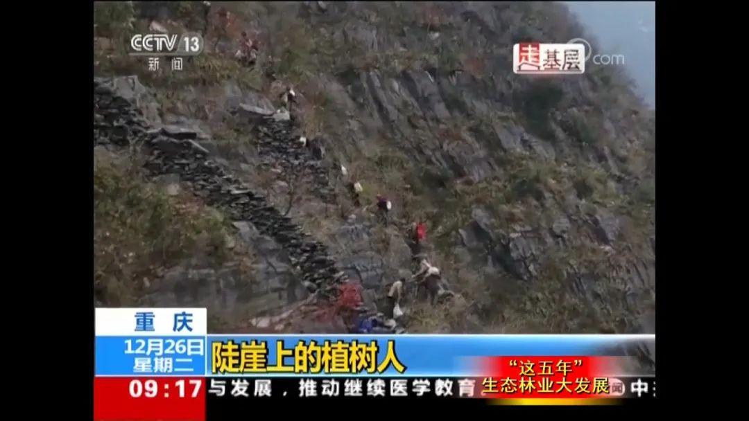 上海宝山电视台,时代的见证与文化的传承者