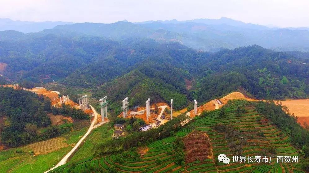 巴鹤公路最新动态，探寻小巷中的独特风情