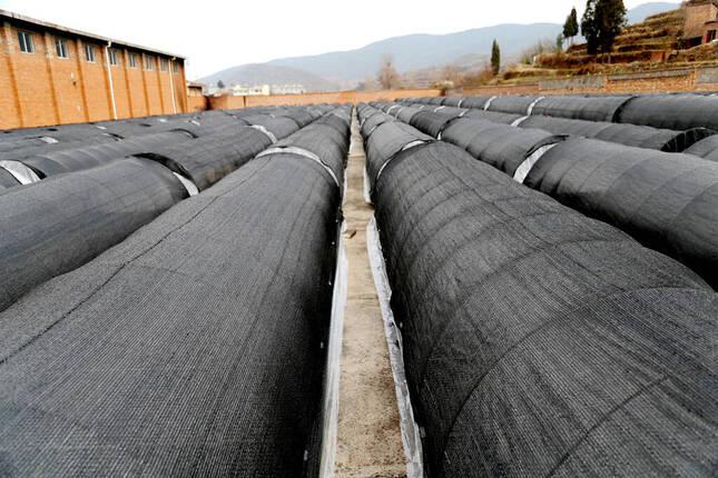 好日子烟价格表和图片,价格变动背后的自信与成就感