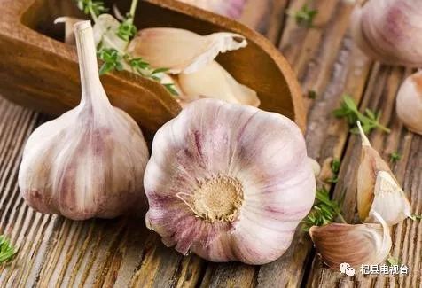 金乡大蒜今日行情更新🌱最新市场动态分析