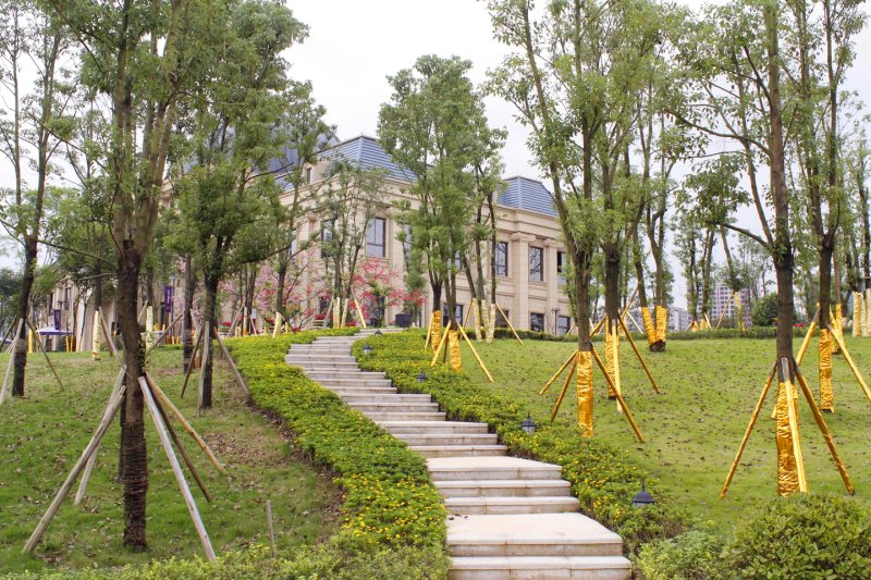 国盛园墅全新景观图揭秘,小巷里的隐藏瑰宝