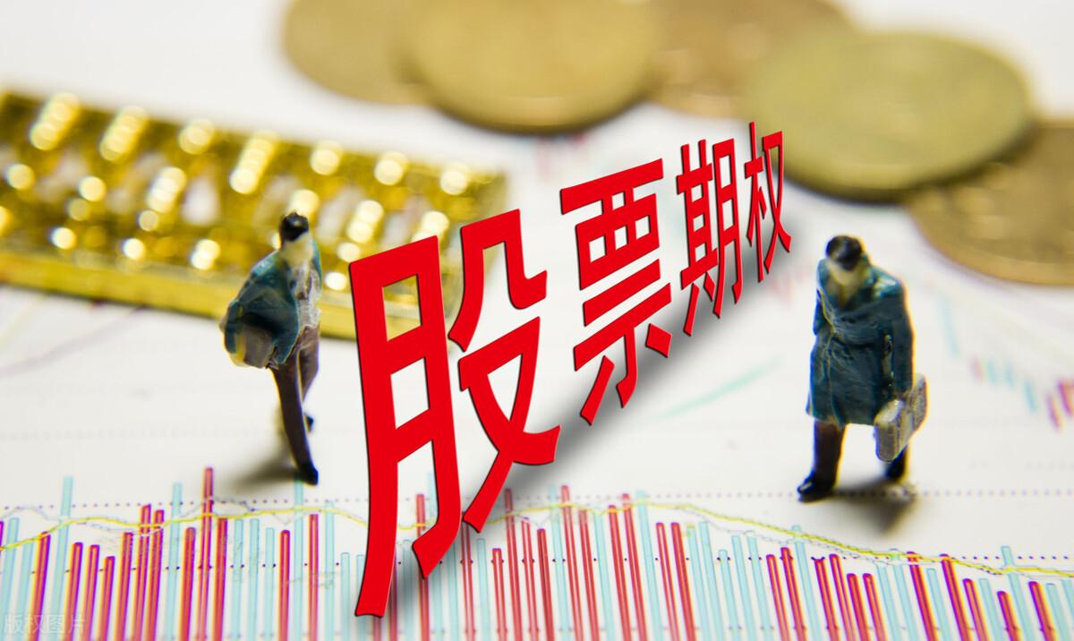 海天集团股票，时代印记与行业翘楚的崛起之路