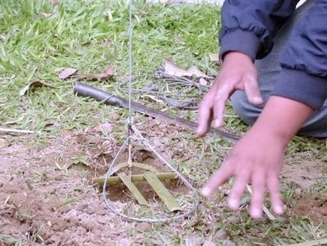 新型捕兔设备售价亲民,自信与成就感倍增