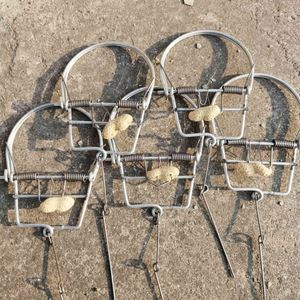 新型捕兔设备售价亲民,自信与成就感倍增