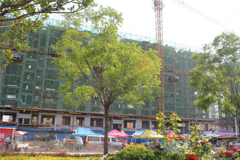 商河泰和名都最新动态,城市发展的璀璨明珠引领潮流