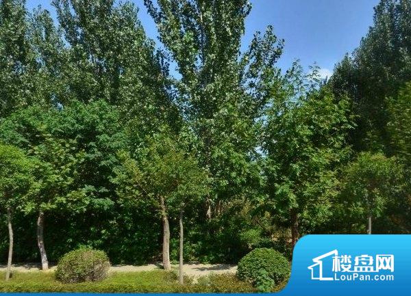 许昌金域湾二手房源信息全面解析,房源大揭秘与购房指南🏠✨