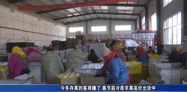 第1117页