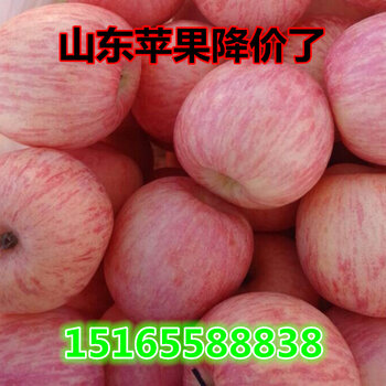 冷库苹果行情深度解析,市场走势分析与影响探讨