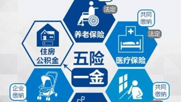 上市公司五险一金制度,轻松探索自然美景的保障之路