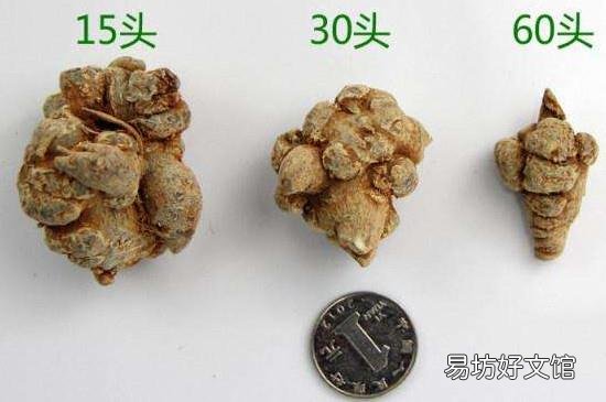 三七的价格和等级解析,市场现状与个人观点探讨