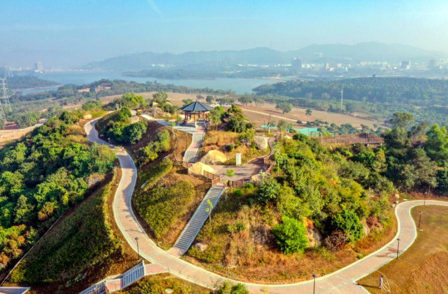 深圳健身比赛,激情燃烧,活力展现!