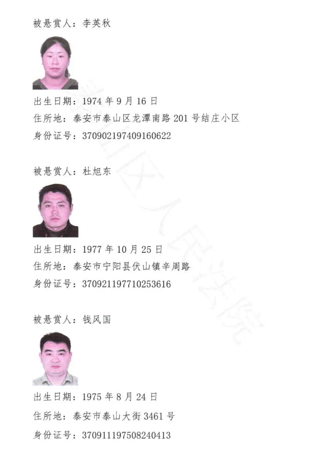 泰安最新公告发布，城市发展与民生改善的最新动态
