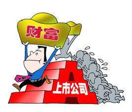 公司上市揭秘与小巷独特小店探秘，背后的故事与秘密