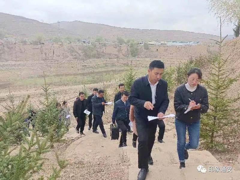 陇西通安驿镇最新动态概览