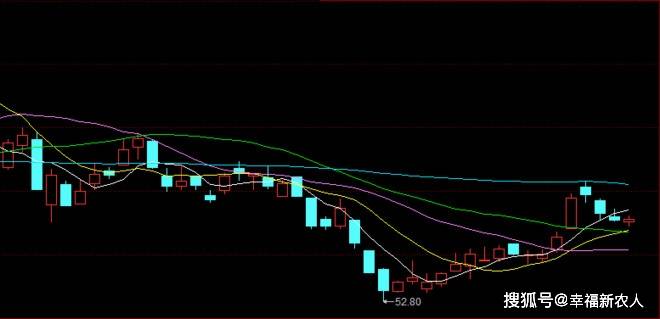 兆易股票,股市中的稳健之选