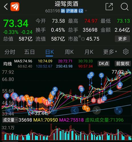 迎驾贡酒股票股吧，科技与生活融合的前沿体验