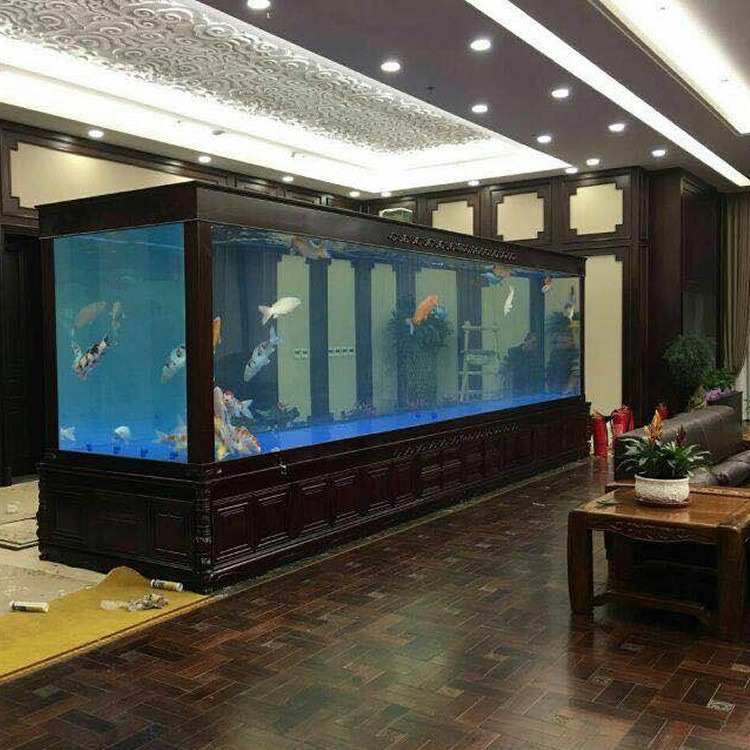 最新款观赏鱼缸，家中的温馨时光伴侣