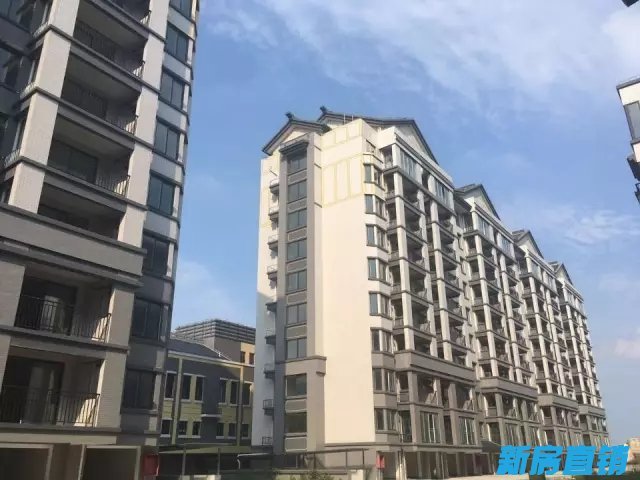 临漳凤凰城最新资讯,展翅高飞,自信翱翔的学习变革之翼