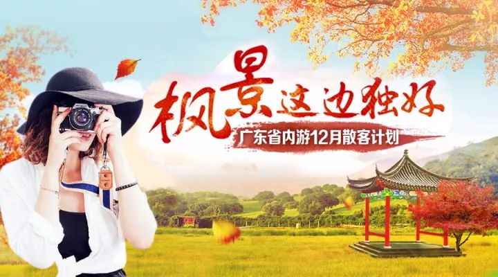 二月最新精选合集，学习变化，拥抱自信与成就感