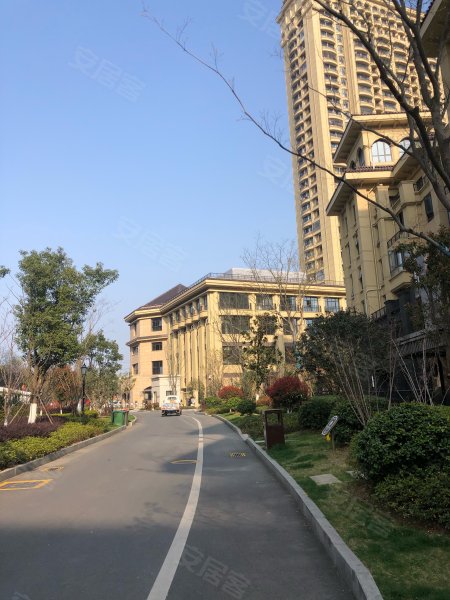 合肥金屿海岸最新资讯大全,全面指南与步骤详解