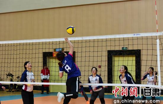 技术革新与比赛观赏性,最新排球的双刃剑发展