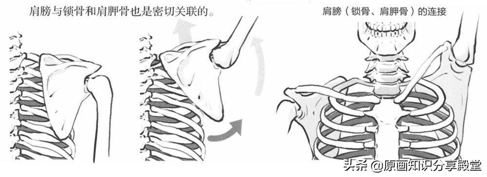科技与想象交融，机械手臂动漫的魅力展现