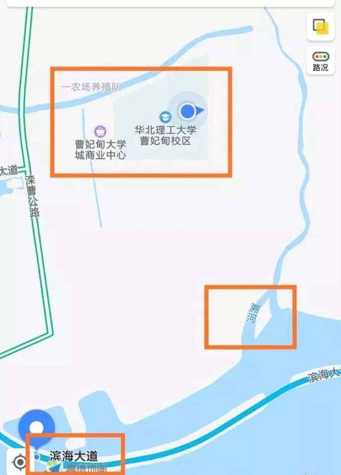 曹妃甸大学城最新动态揭秘🎓