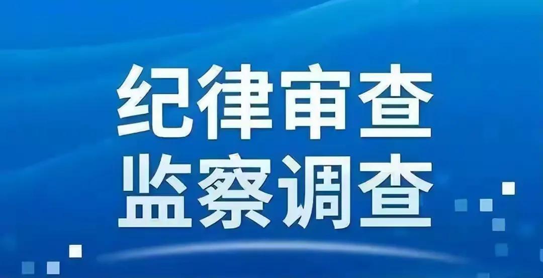 宜宾市向辉礼的最新动态🌟