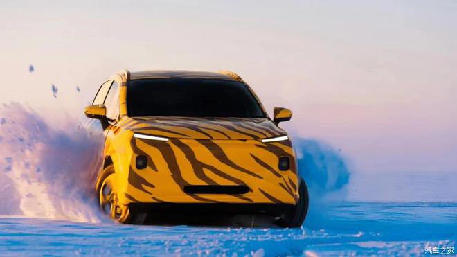 最新虎头车款——科技与生活的完美结合艺术品