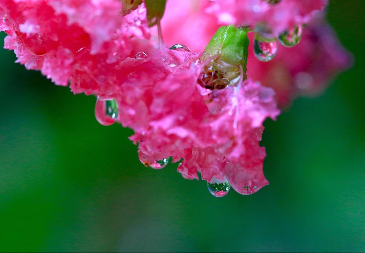 台风拍卡最新动态揭秘,自然美景探索之旅邀请