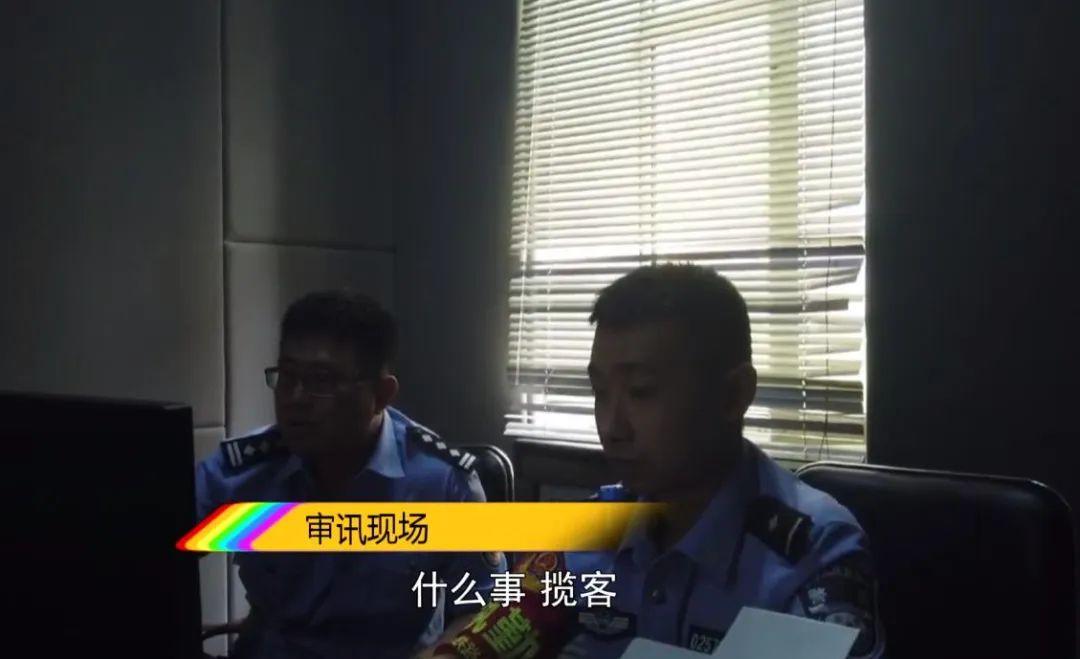 佳木斯司机招聘信息，科技引领，驾驭未来职业机遇