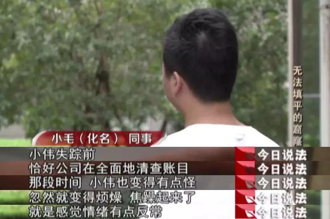 最新网站漏洞揭秘,科技前沿的探寻与未知面纱的揭开