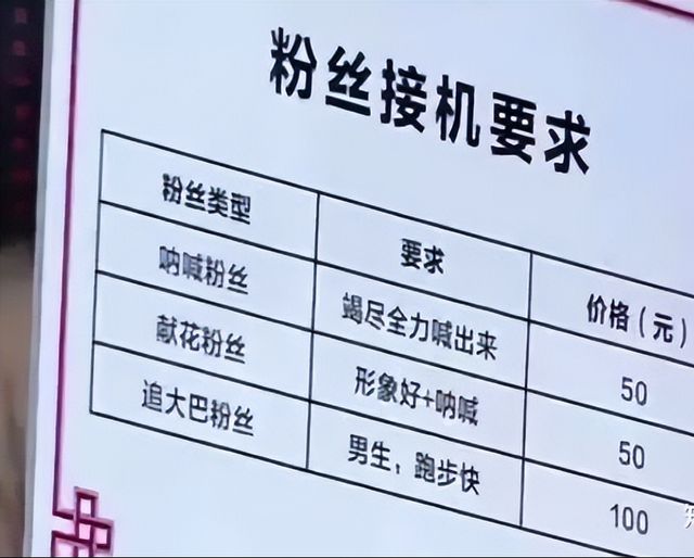 深度解析明星接机流程，流程细节与观点阐述