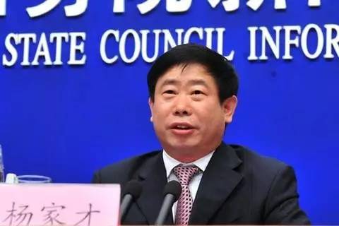 杨家才最新动态揭秘，日常趣事大揭秘