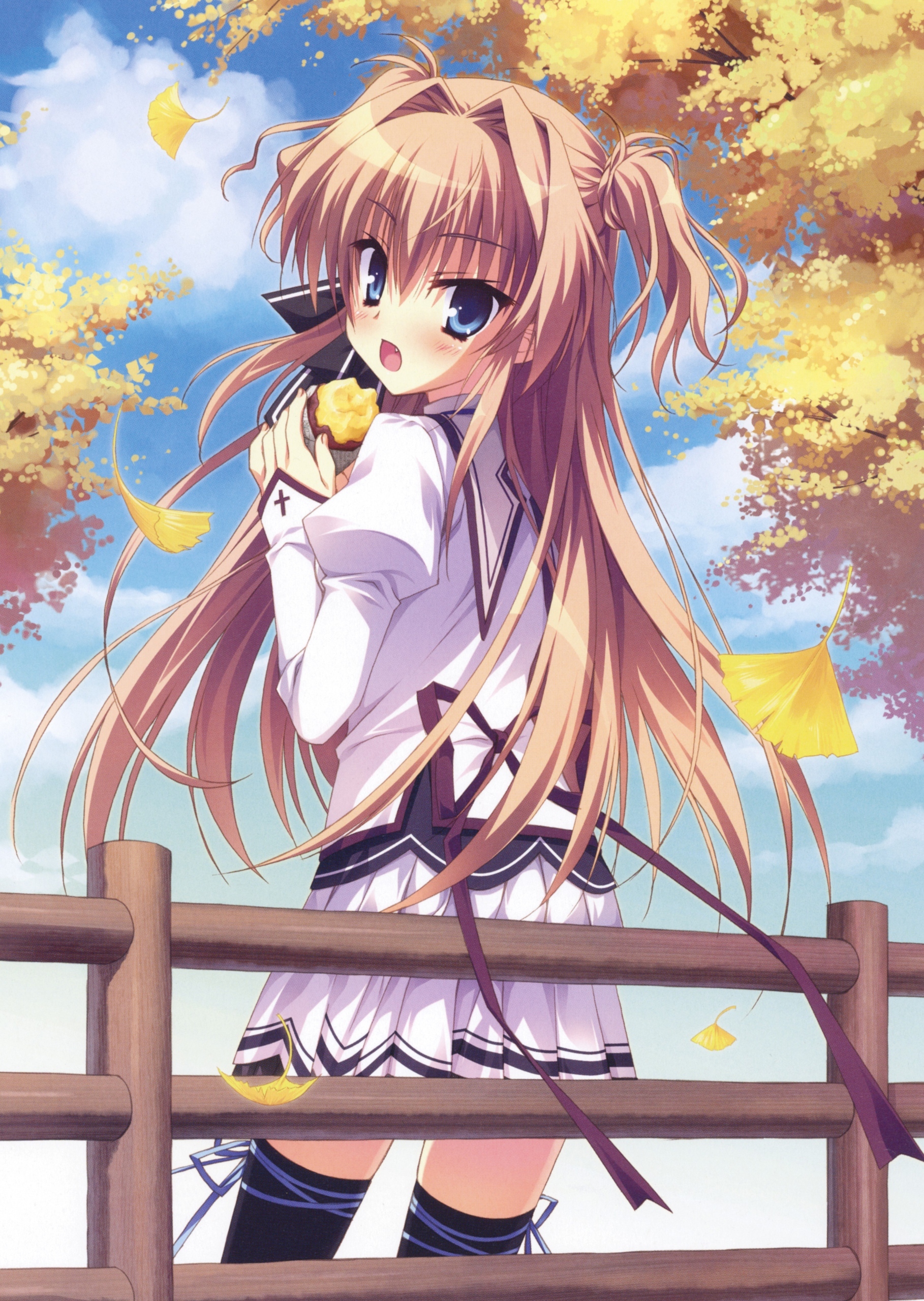 二次元世界的大门已开启,动漫图片大全