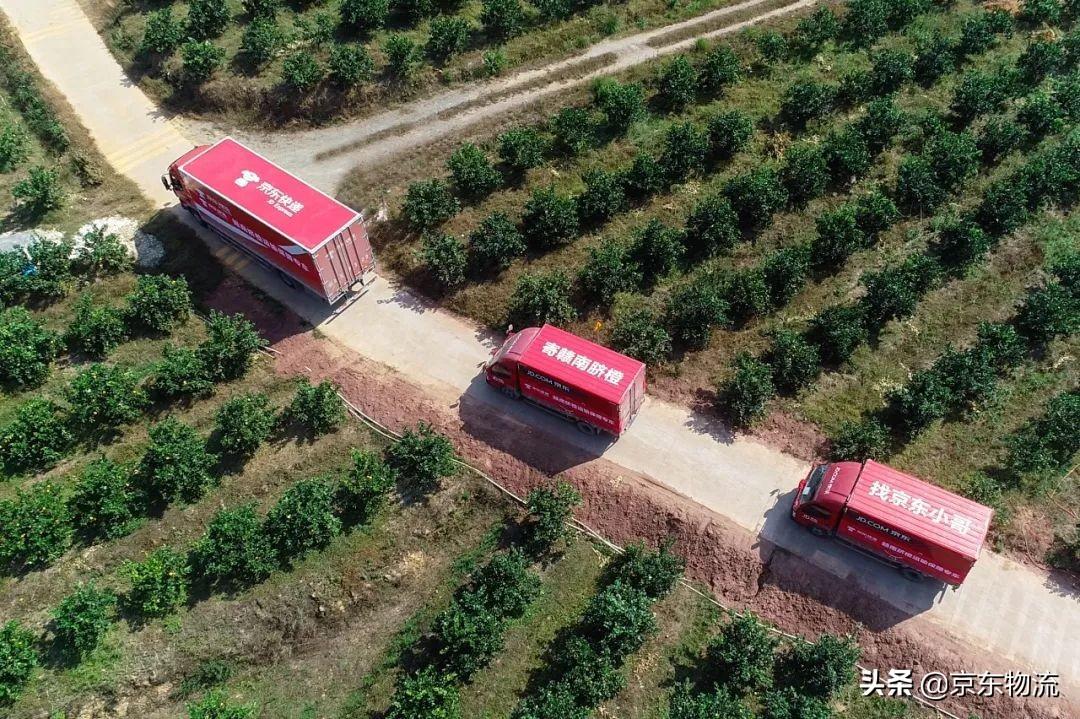 赣南脐橙上市啦！尝鲜攻略及赣南脐橙上市时间揭秘