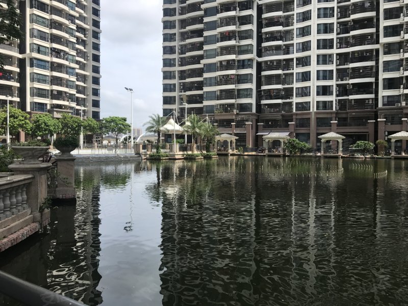 开平骏景湾最新动态,学习变化,自信成就未来