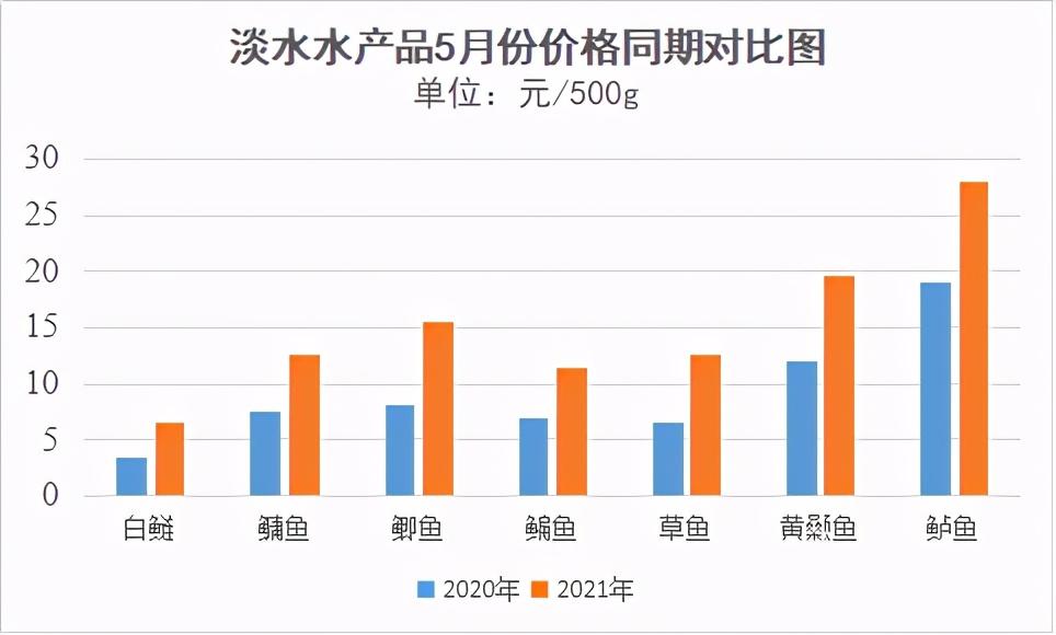 市场波动下的鱼类最新价格深度探讨