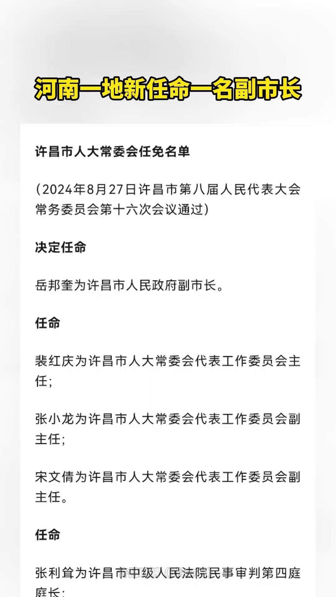 许昌市副市长名单揭晓，日常小故事揭秘副市长的日常风采