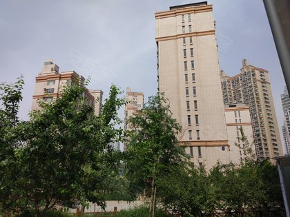 邯郸枫丹白露最新资讯,温馨日常的友情故事展现