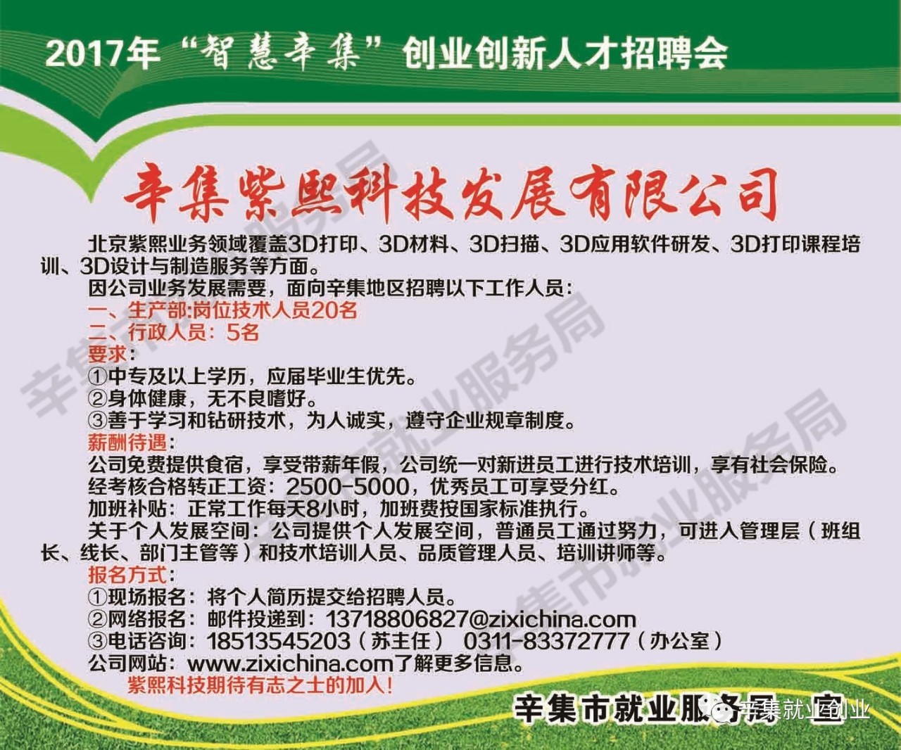 辛集最新招聘信息揭秘，小巷中的职业机遇探索