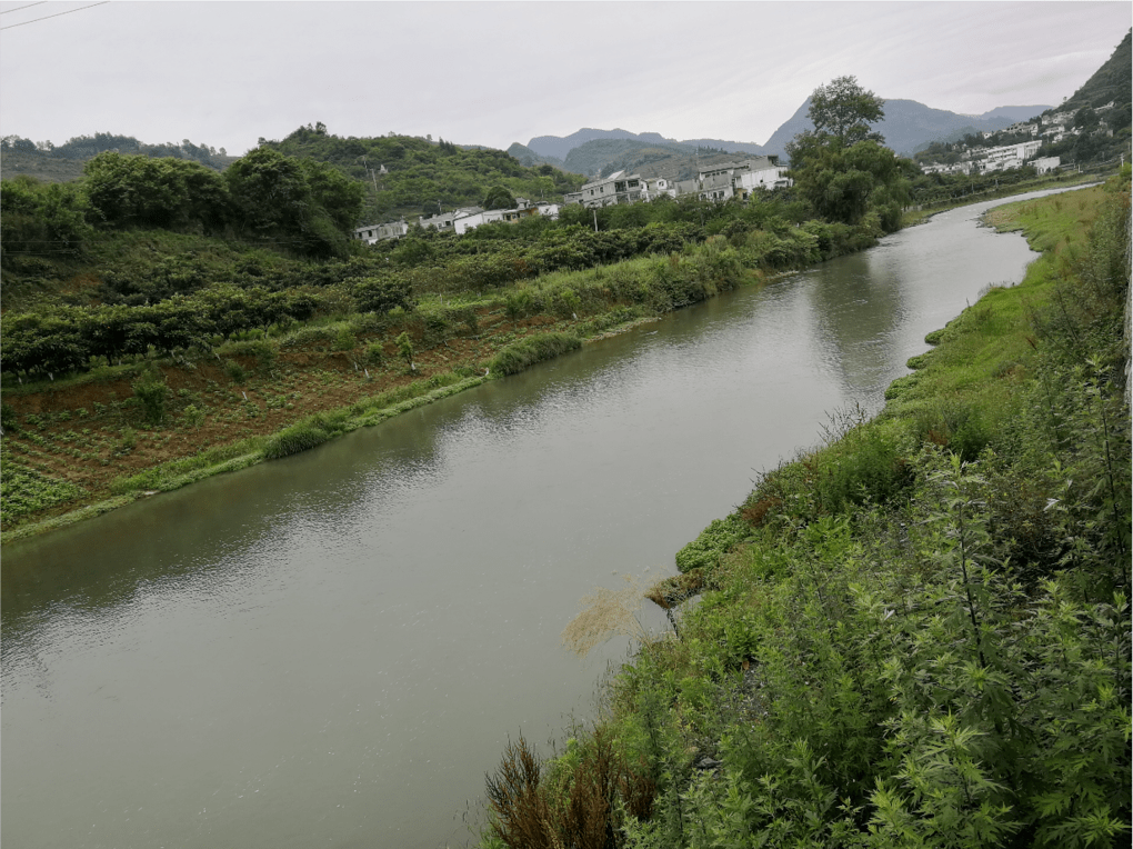镇雄大湾镇最新动态——新篇章蓬勃发展之路