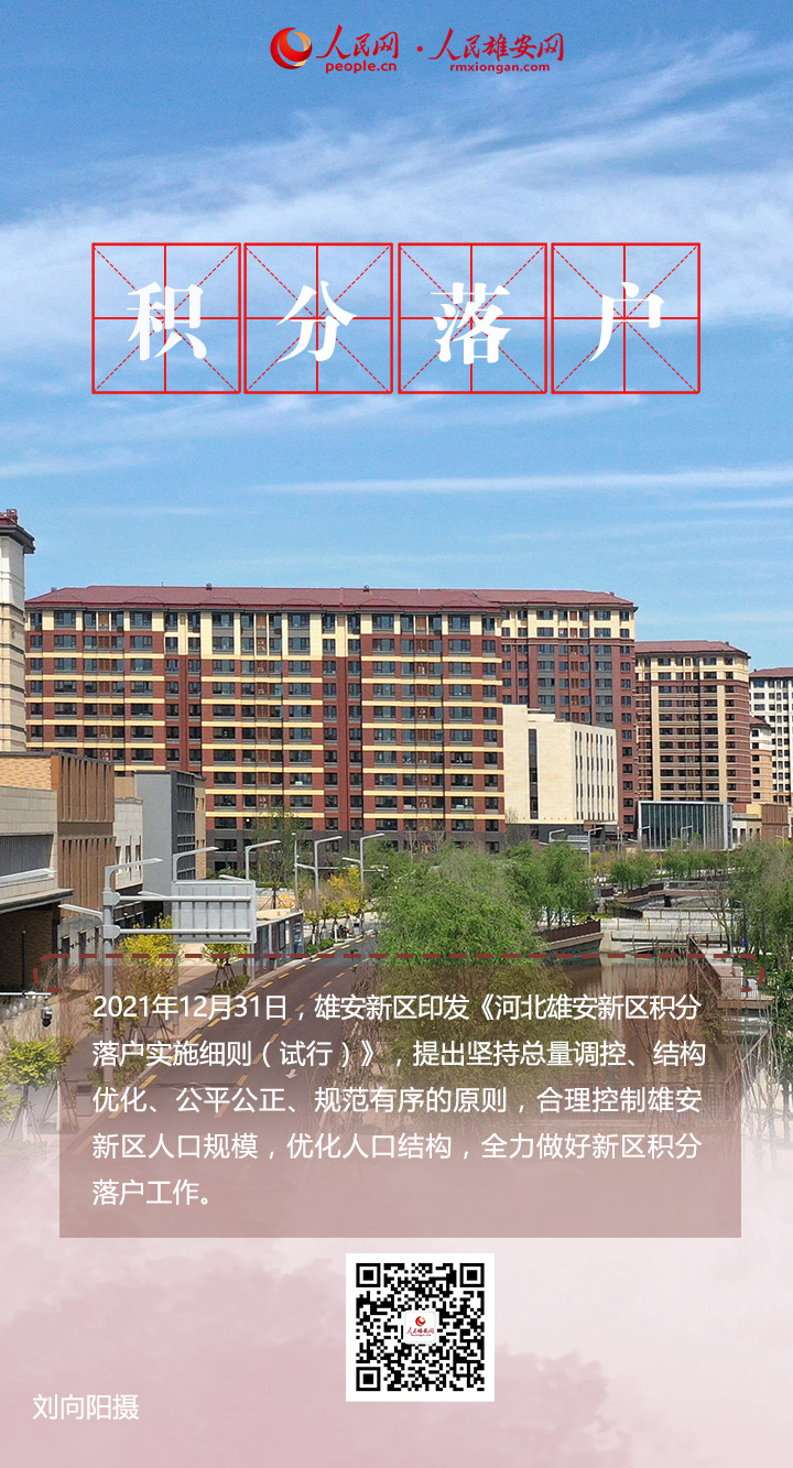 雄安新区最新动态，深度解析与观点阐述